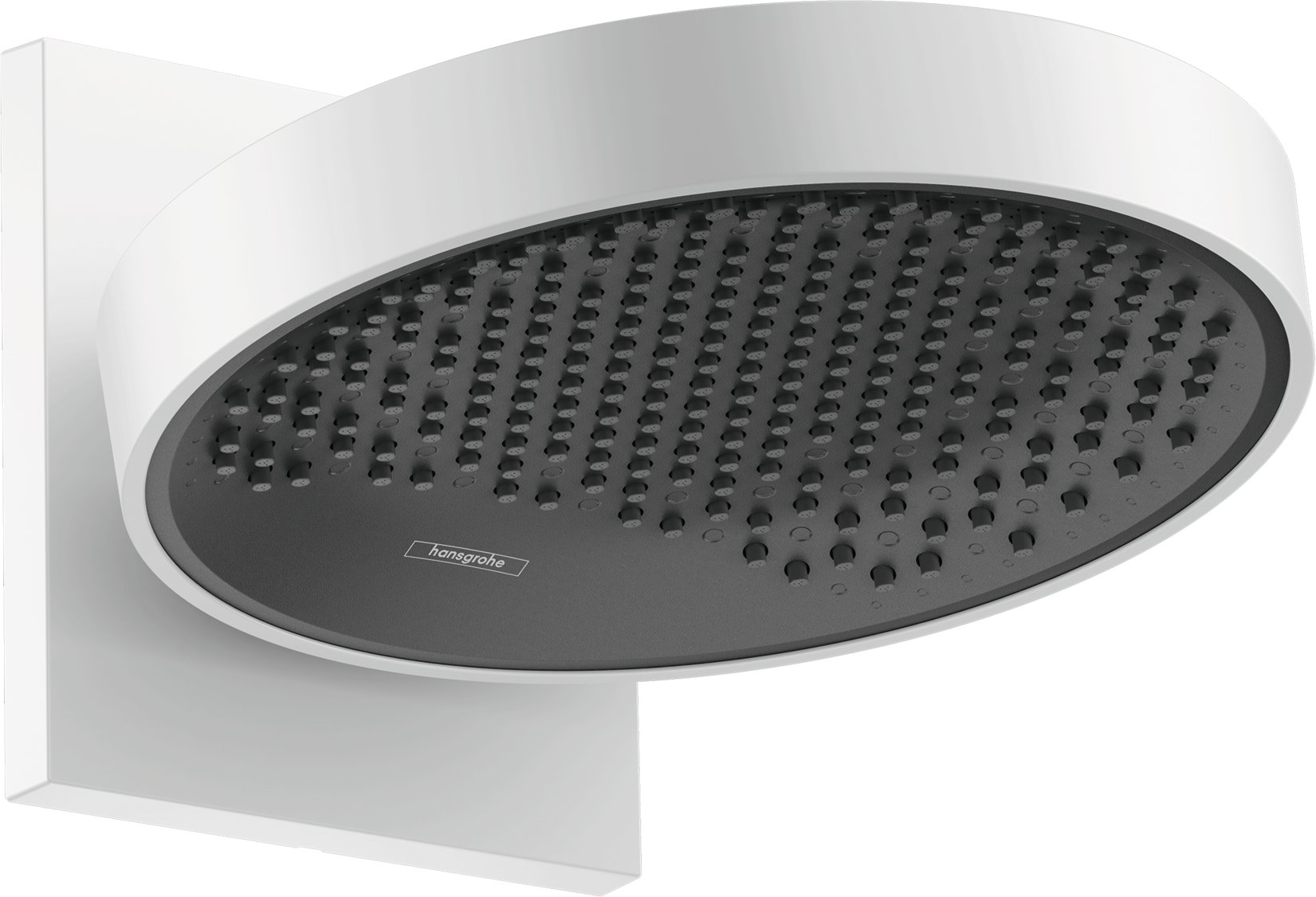 Rainfinity Overhead shower 250 1jet with wall connector